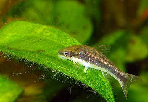 Фото с сайта vitawater.ru